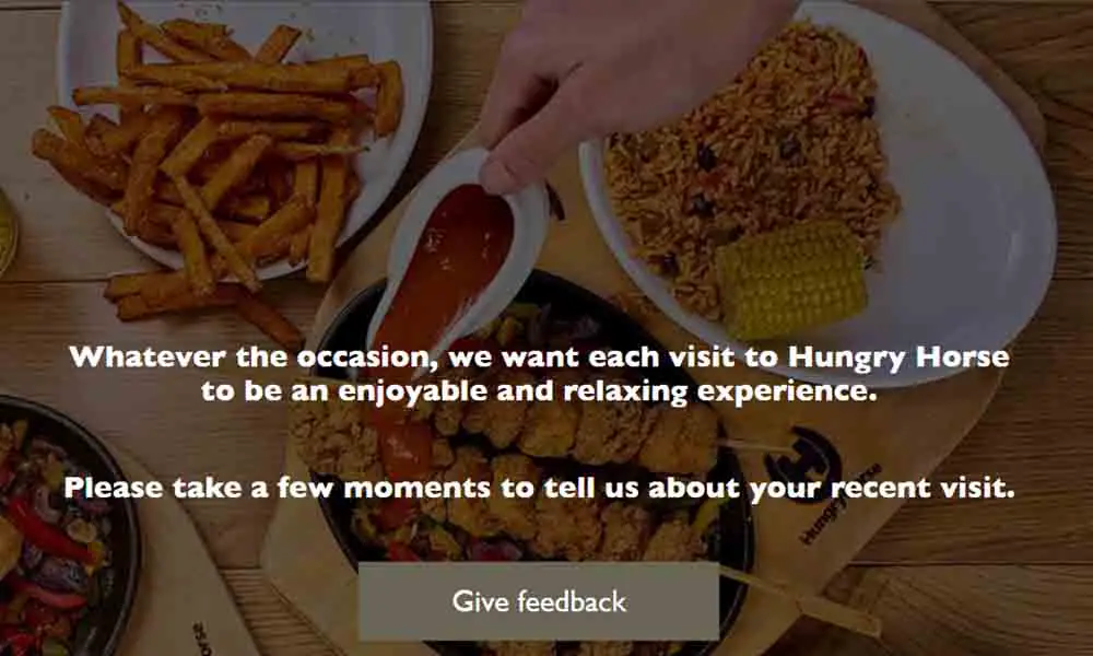 hungryforfeedback.co.uk hungry horse