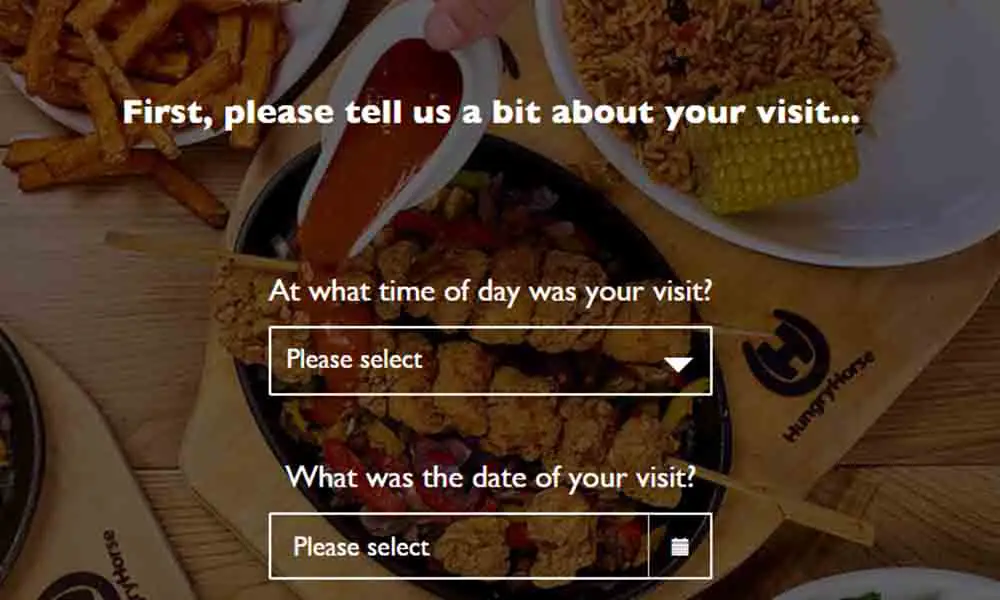 hungry horse customer feedback