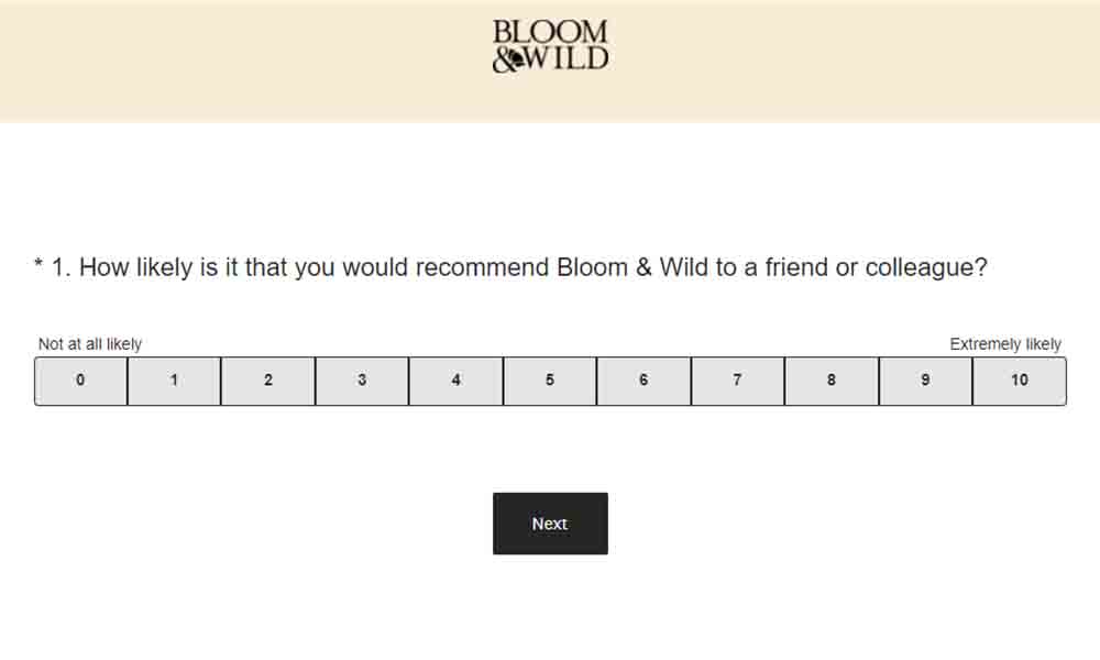 bloomandwild feedback