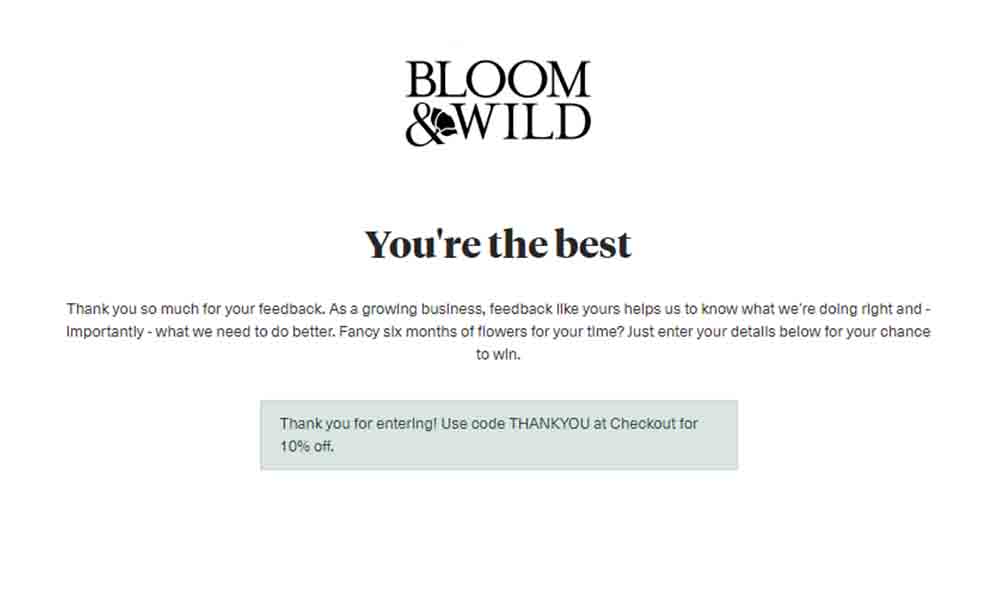 bloom and wild feedback