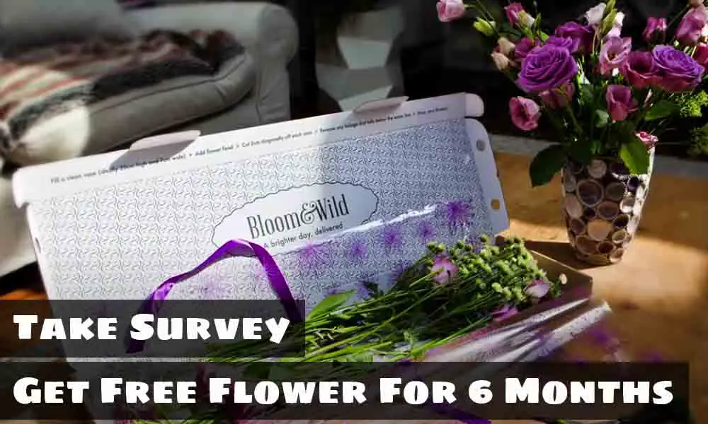 bloomandwild feedback