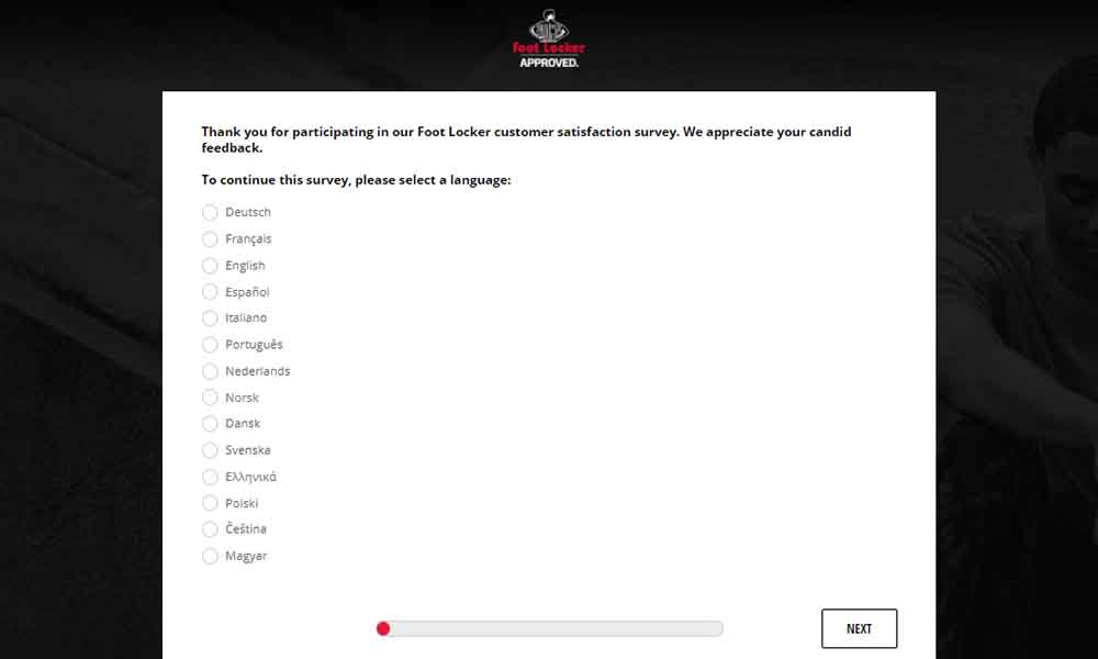 footlockersurvey eu