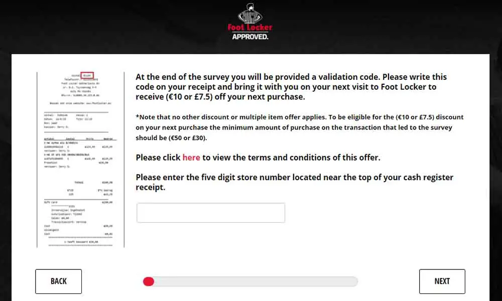 foot locker survey.eu